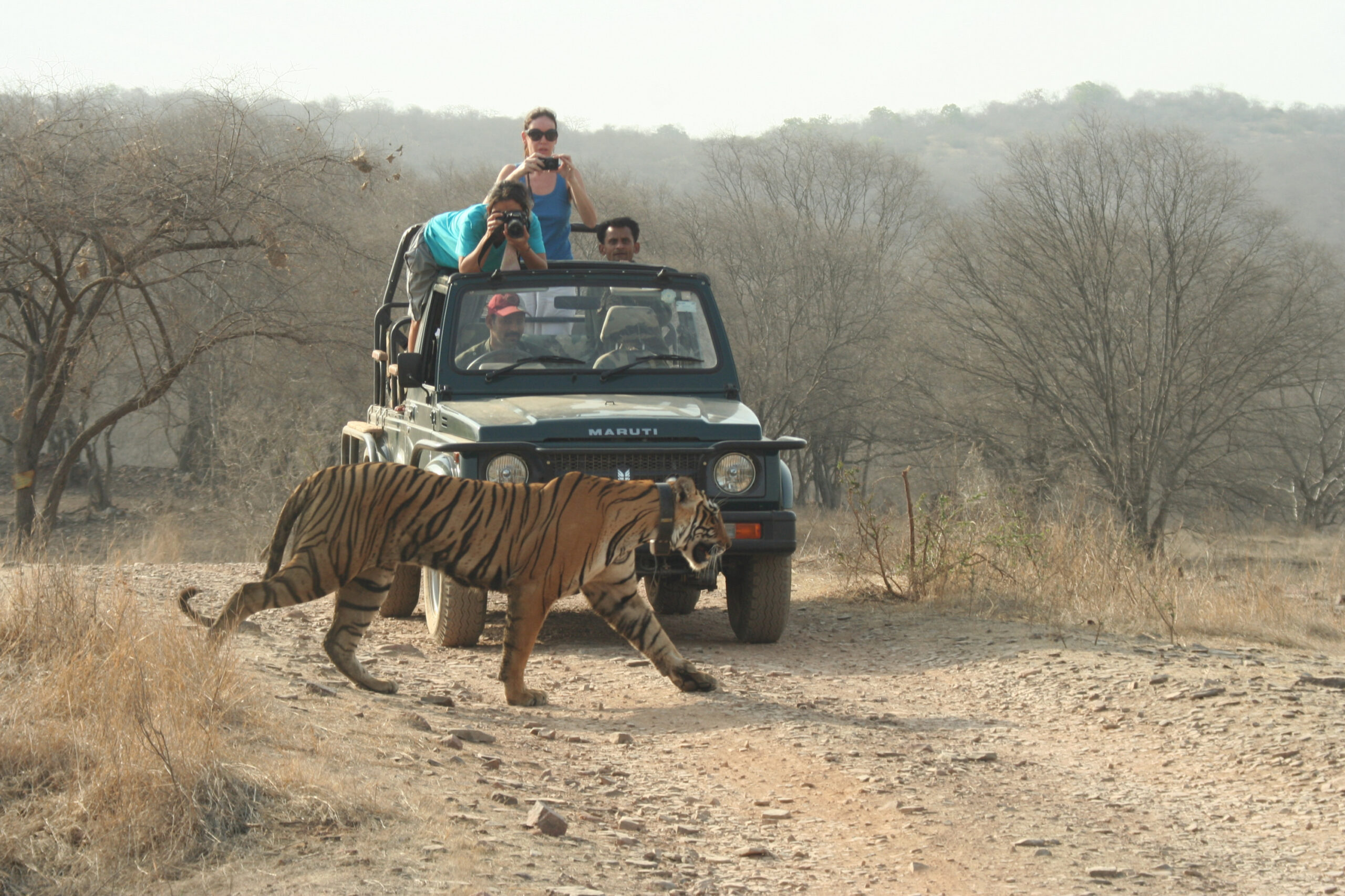 Over Alle Bjerge Indien Nov 2018 3 Scaled